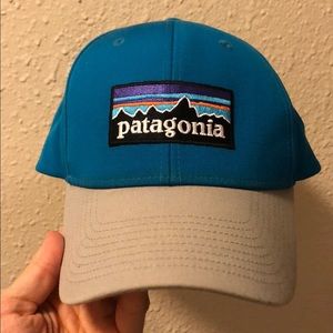 Patagonia Trucker Hat